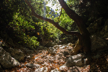Marked hiking path on Parnitha Mountain near Athens, Attica, Greece on way to Pan's cave