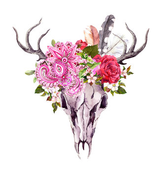 Deer animal skull - flowers, feathers, tribal ornament. Watercolor