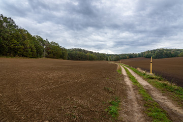 Fototapeta na wymiar Hiking through the fields at Kutschenberg during autumn on a rainy day