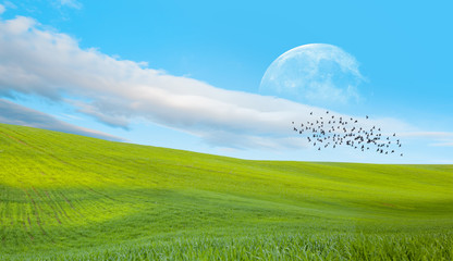 Birds silhouettes flying above green grass field in the background full moon "Elements of this image furnished by NASA"