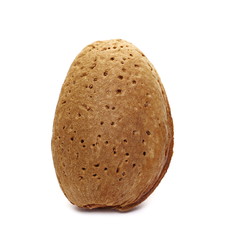 Almond kernel, nut in shell isolated on white background