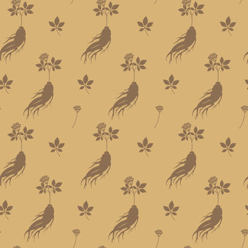 Seamless pattern with ginseng  root. Medical plant. Vector
