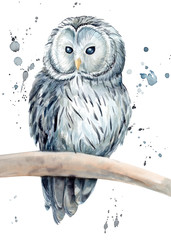Beautiful painting with a bird, watercolor illustration, white owl and paint splashes. Poster, postcard.