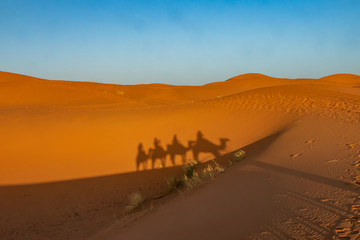 Shadows in the sand of people on a camel through the Sahara desert. Erg Chebbi Merzouga Morocco