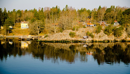 Fototapeta na wymiar Landscape with lake and trees on the coast