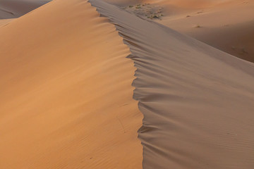 Dunes of the Sahara desert. Erg Chebbi Merzouga Morocco