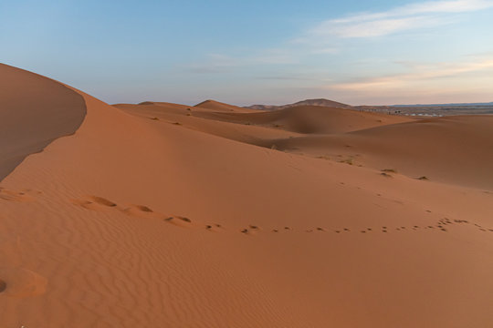Dunes of the Sahara desert. Erg Chebbi Merzouga Morocco © Marlene Vicente