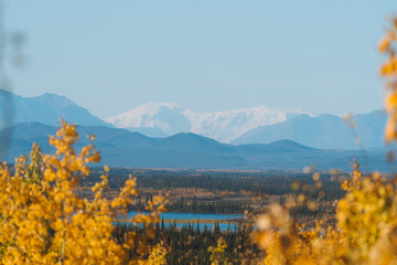 Beautiful fall / autumn color of trees and mountains in remote Alaska - 297406586