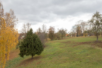 Fototapeta premium autumn in the park