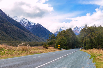 Fototapeta na wymiar Road in Fiordland National Park, New Zealand