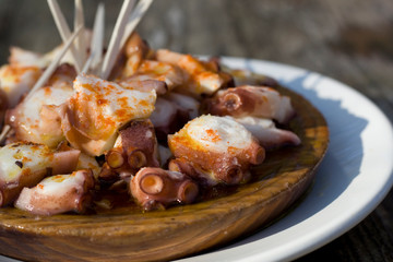 Pulpo