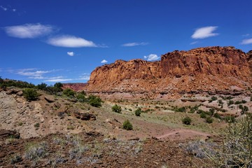 Utah Desert Scene Capital Reef National Park