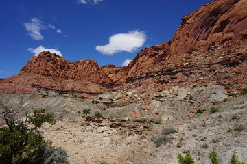 Desert Scene Utah Capital Reef National Park