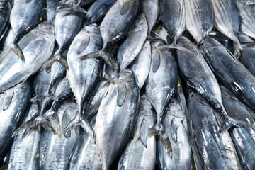Tuna on the counter. Fresh fish counter - raw tuna in a row, top view. Street market with fresh fish.