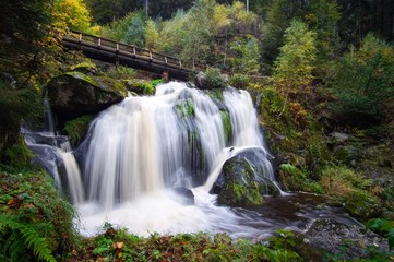 waterfall in forest