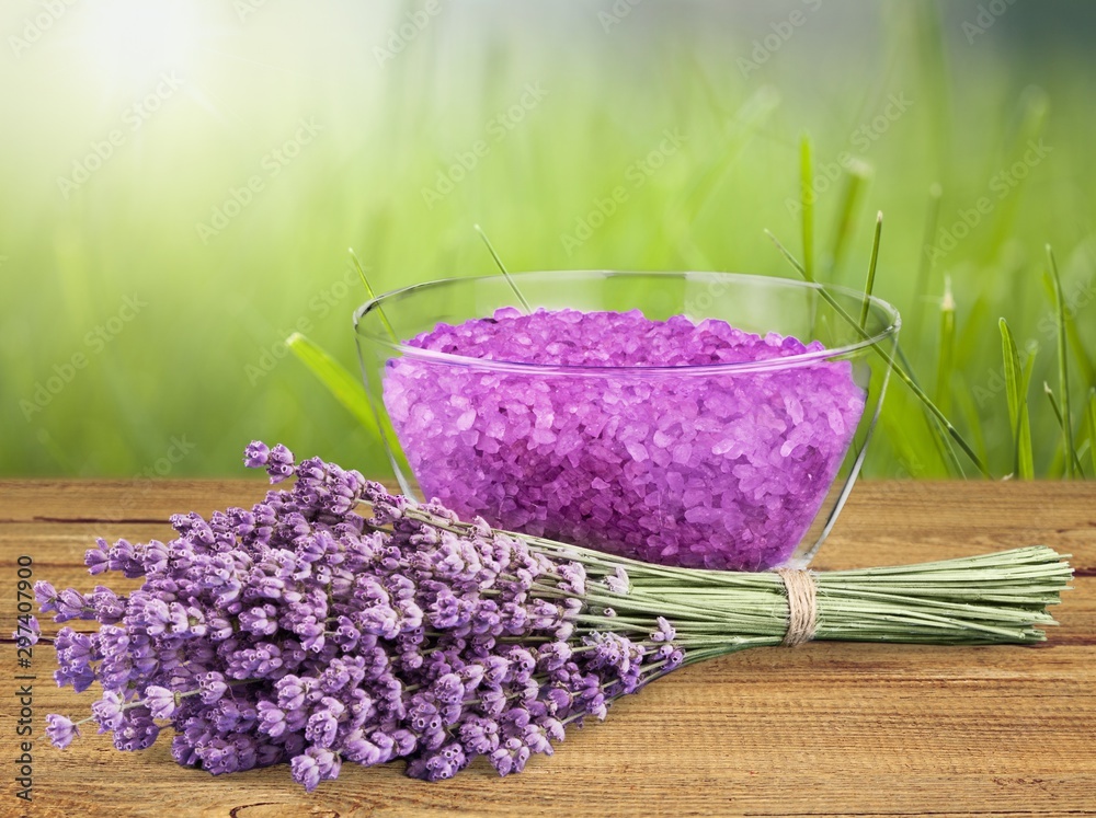 Poster lavender flowers isolated on white background