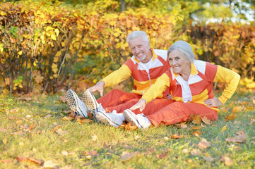 Portrait of fit senior couple exercising in autumn park