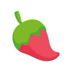 chili pepper spice ingredient on white background icon