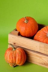Orange pumpkins in a wooden box on a green background. Halloween, Thanksgiving, Harvest. Selective focus
