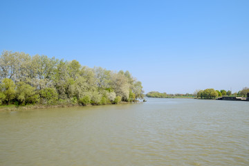Trees by the river in spring. Spring flood of river.