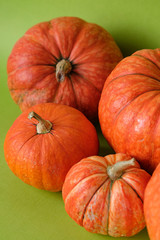Orange pumpkins on green background, holiday decoration, Selective focus. Fall autumn concept. Halloween, Thanksgiving, Harvest