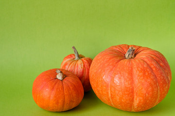 Orange pumpkins on green background, holiday decoration, Selective focus. Fall autumn concept. Halloween, Thanksgiving, Harvest