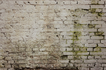 A fragment of a white brick wall overgrown with moss