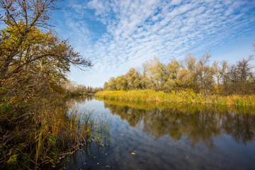 Autumn landscape on river at nice sunny day