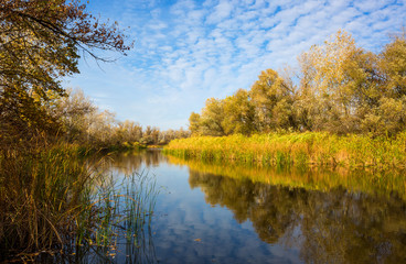autumn sunny day on river in forest,