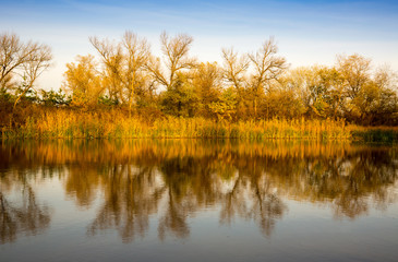 Fototapeta na wymiar autumn scene on river