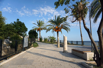 Fototapeta na wymiar Charming cobbled sea promenade with tropical plants and palm trees on a clear sunny day. Great place for walking, outdoor activities and relaxation. The concept of summer holidays on the seashore.
