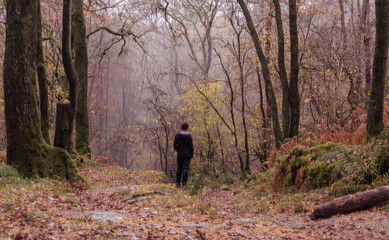 Fototapeta na wymiar woman walking in forest