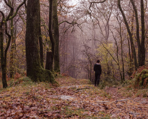 Fototapeta na wymiar woman in forest
