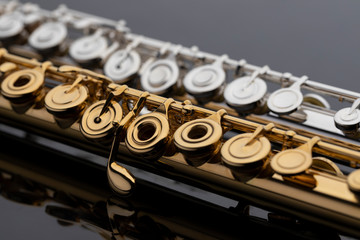 Two shiny gold and silver plated flutes on a reflective surface. An instrument common in a symphony...