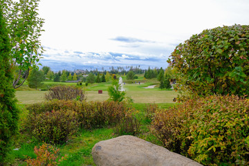 Landscape. Golf course with trees, shrubs and a fountain.