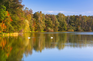 Fototapeta na wymiar Beautiful landscape of the lake in autumn, Poland