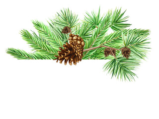 Christmas Greeting card, poster, banner concept of pine branches and cones on white background, New Year hand drawn watercolor illustration with copy space for text