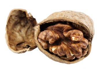 walnut close-up macro high resolution isolated on white background