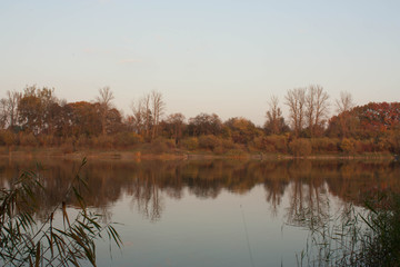 Autumn bank of lake reflection october refkection