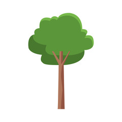 tree icon image, flat design