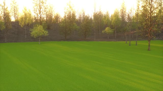 House and landscape animation with growing scene real estate