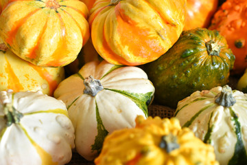 Mini Gourds