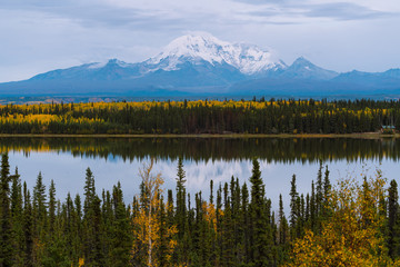 Beautiful fall / autumn color of trees and mountains in remote Alaska
