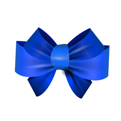 Beautiful blue bow isolated vector