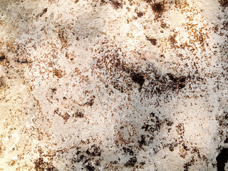 White rusty metal surface texture background, closeup metallic