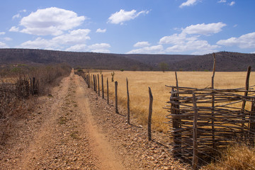 Obraz premium A road going into a yellow grass field bordered by a wooden fence with barbed wire under a blue sky with some clouds. Interior of Piauí, Brazil.