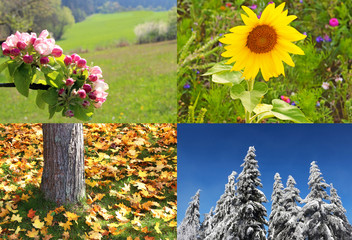 four seasons springtime, summer, autumn and winter colliding