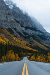 Scenic highway surrounded by mountains and trees  in autumn season in Alaska - 297427348