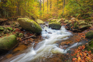 Ilsetal, Nationalpark Harz - Germany