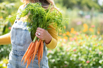woman in overalls holding a bunch of carrots in summer garden